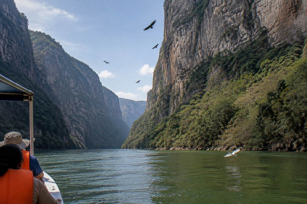 Tall limestone cliffs rising above a wide green river winding through a deep canyon