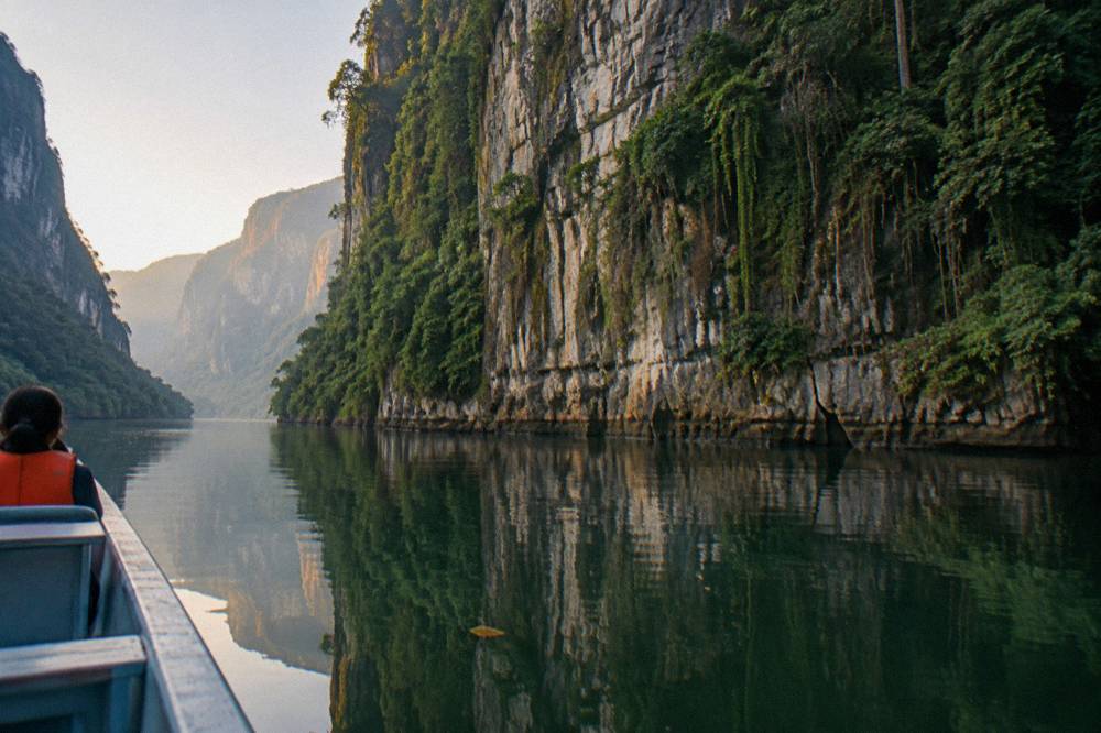 Sheer limestone cliff face reflected in still water with tropical vegetation on the rock ledges