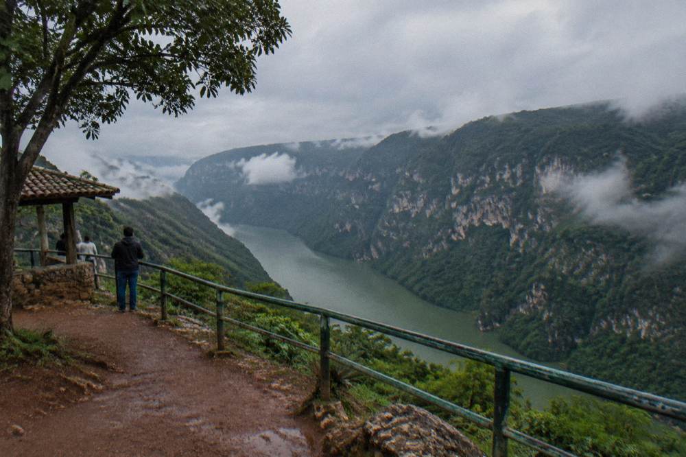 View from a canyon rim viewpoint over a wide green river winding between forested cliffs