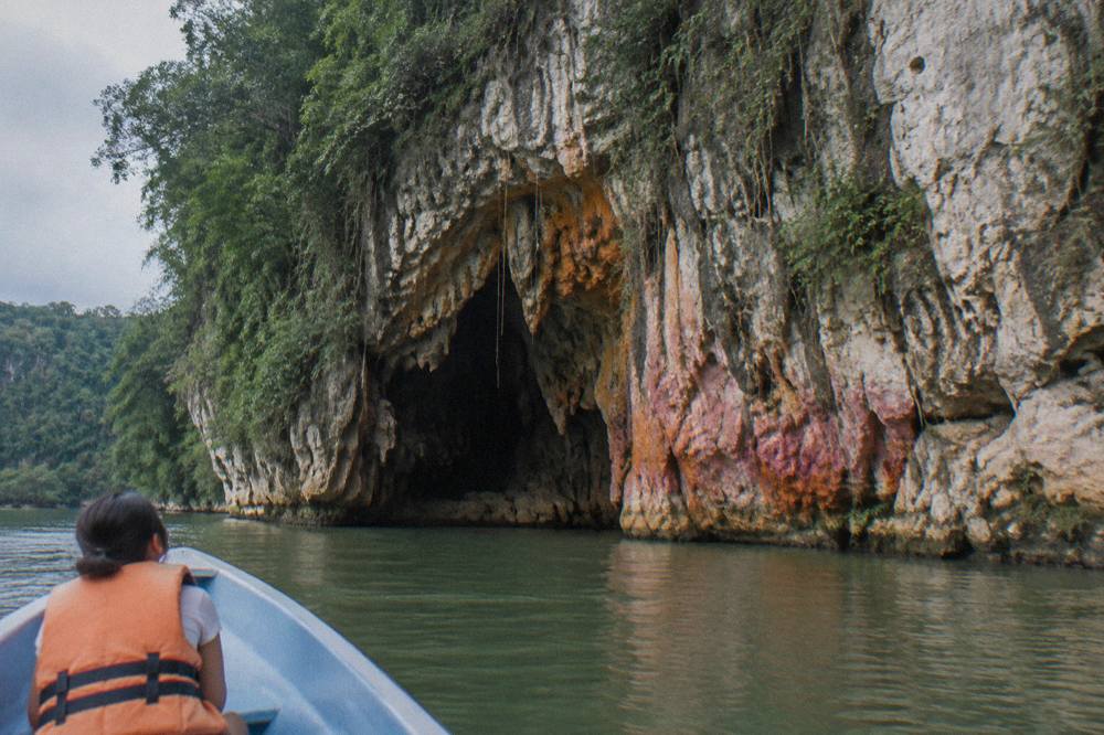 Sheer limestone cliff face of Sumidero Canyon with dark cave openings and dense green vegetation near the waterline