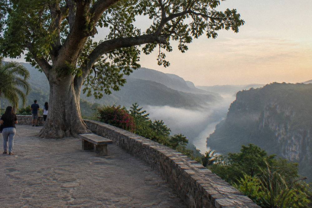 View from a canyon overlook across forested ridges toward the deep gorge of the Grijalva River at midday