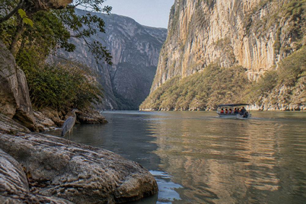 Morning sunlight striking the face of a sheer canyon wall above calm green water