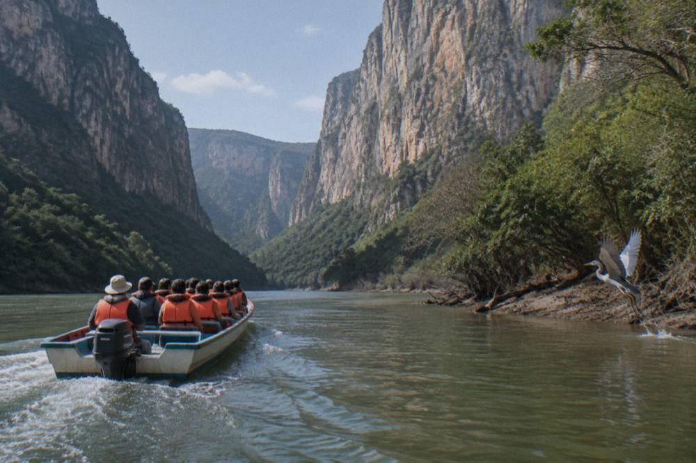 Speedboat carrying passengers along a wide river between tall forested canyon walls