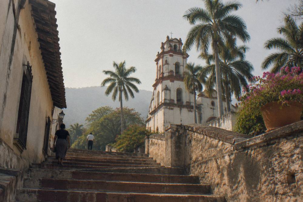 Ancient stone temple steps rising above dense tropical forest