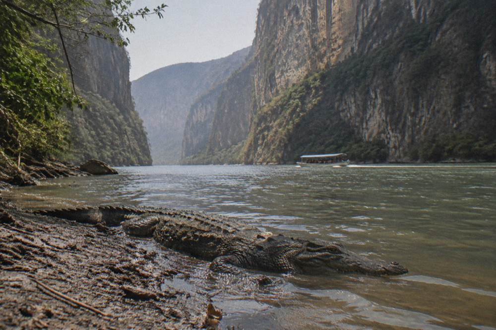 Tall limestone canyon walls rising above a wide river with a small boat on the water