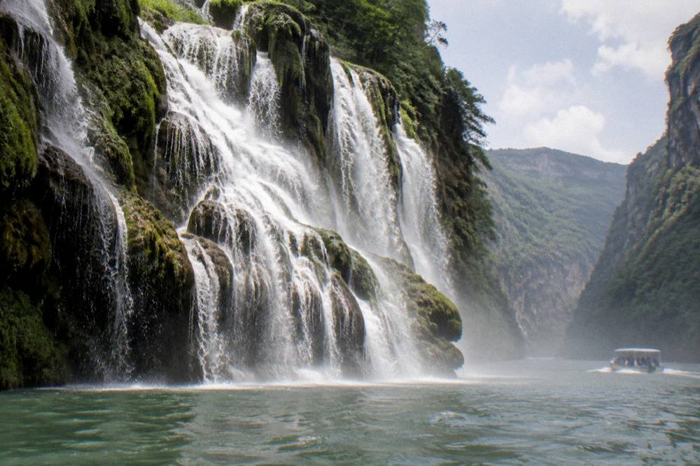 Waterfall spilling over a moss covered rock face shaped like a tree beside a river